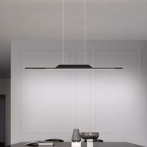 Modern Sleek Design LED Pendant Light / My Aashis