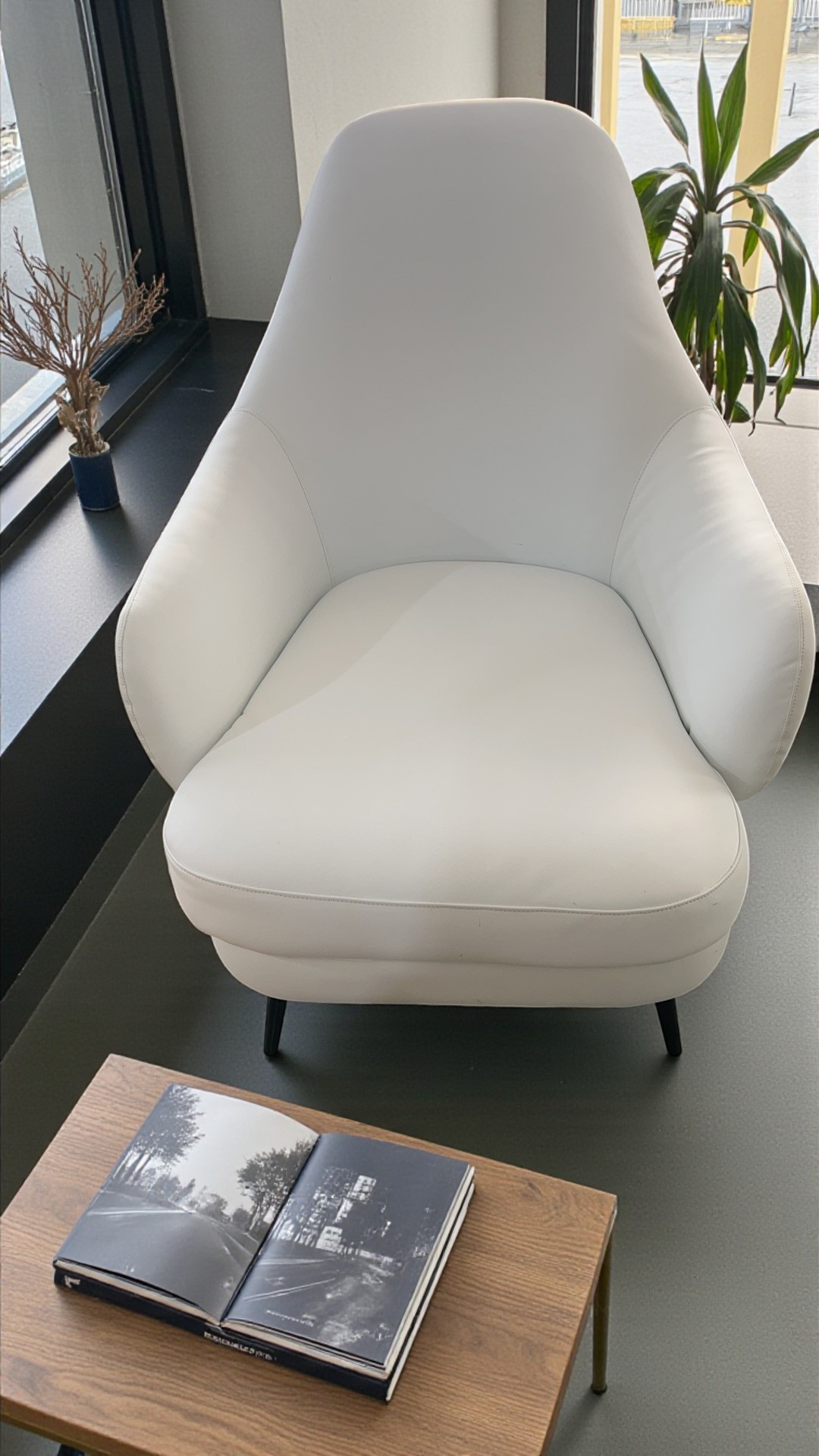 Living Room Curvy Leather Sofa / My Aashis